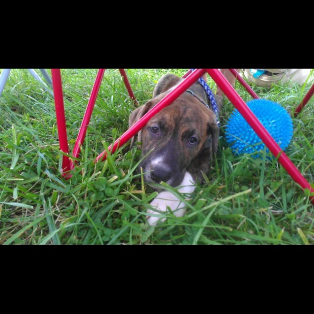 Meet your Posher, Patrice